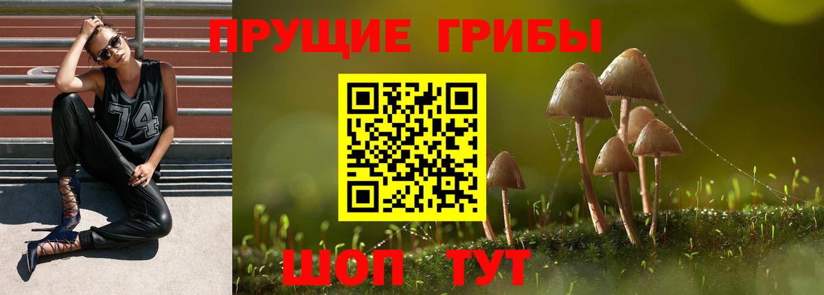 Псилоцибиновые грибы мухоморы  Вход с VPN  Галлюциногенные грибы прущие грибы  Омск 